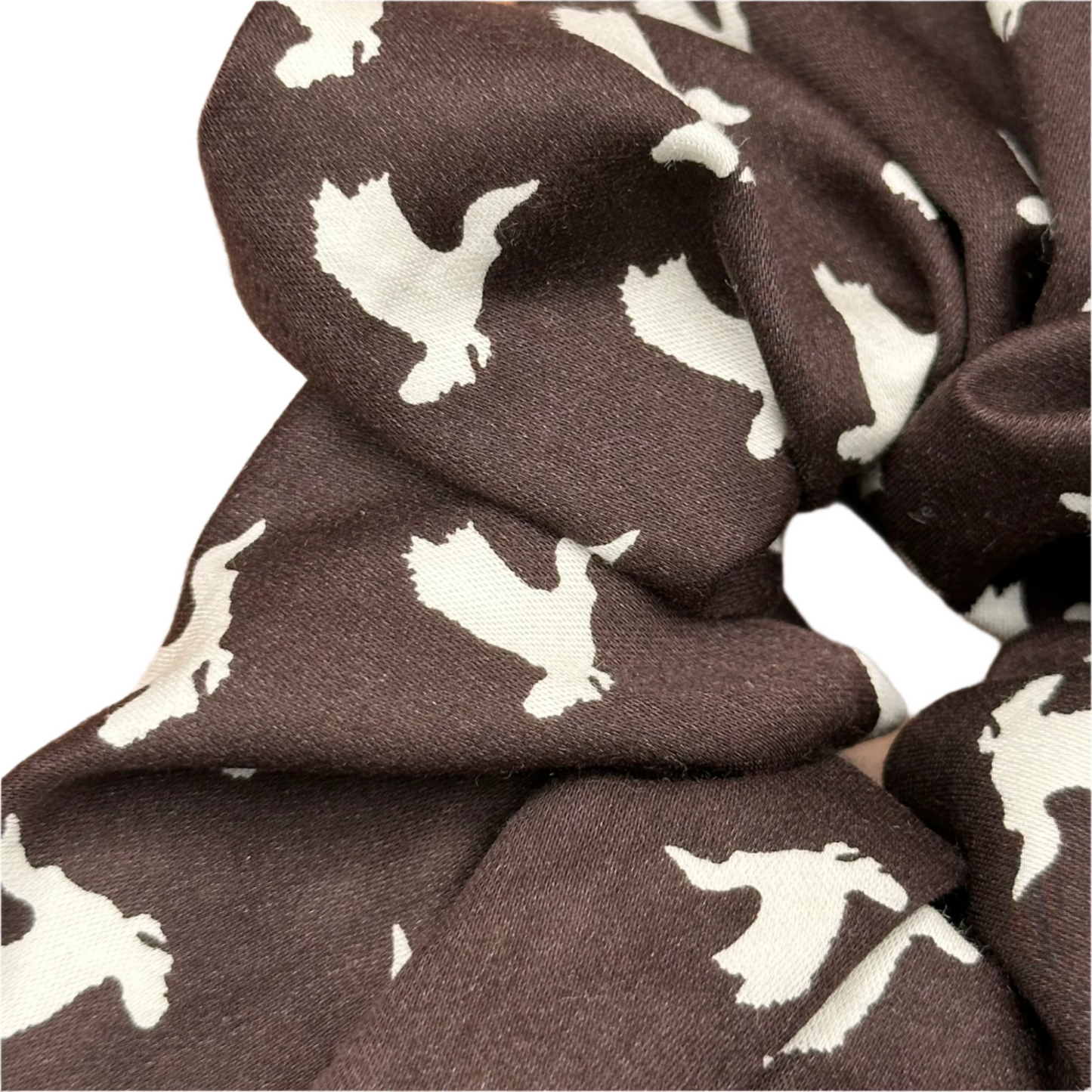 Brown Birds : S